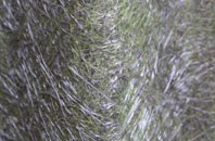 Fairy Hill fibreglass roof work